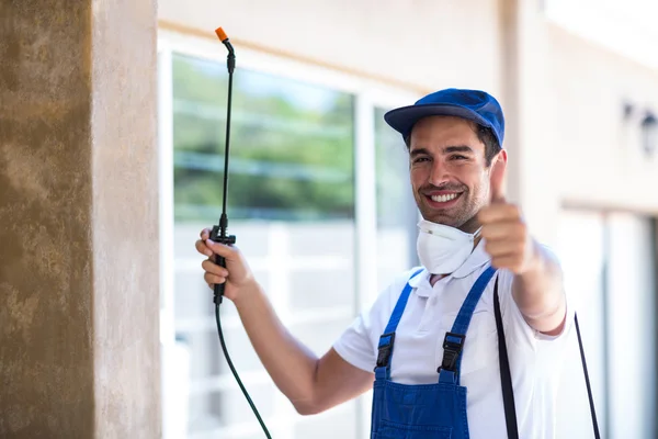 Westlake Village Wasp Removal