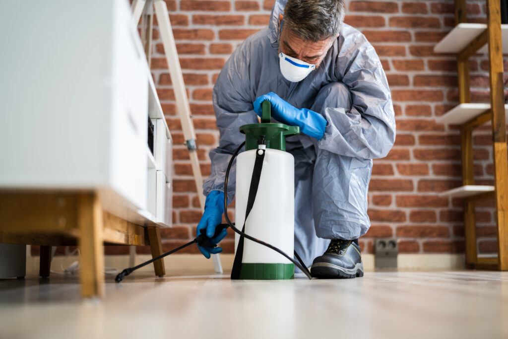 Westlake Village Spider Control