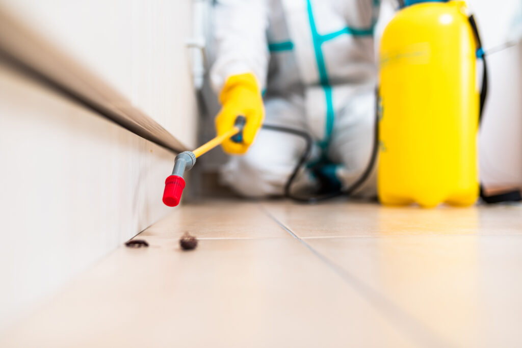 Agoura Hills Cockroach Experts