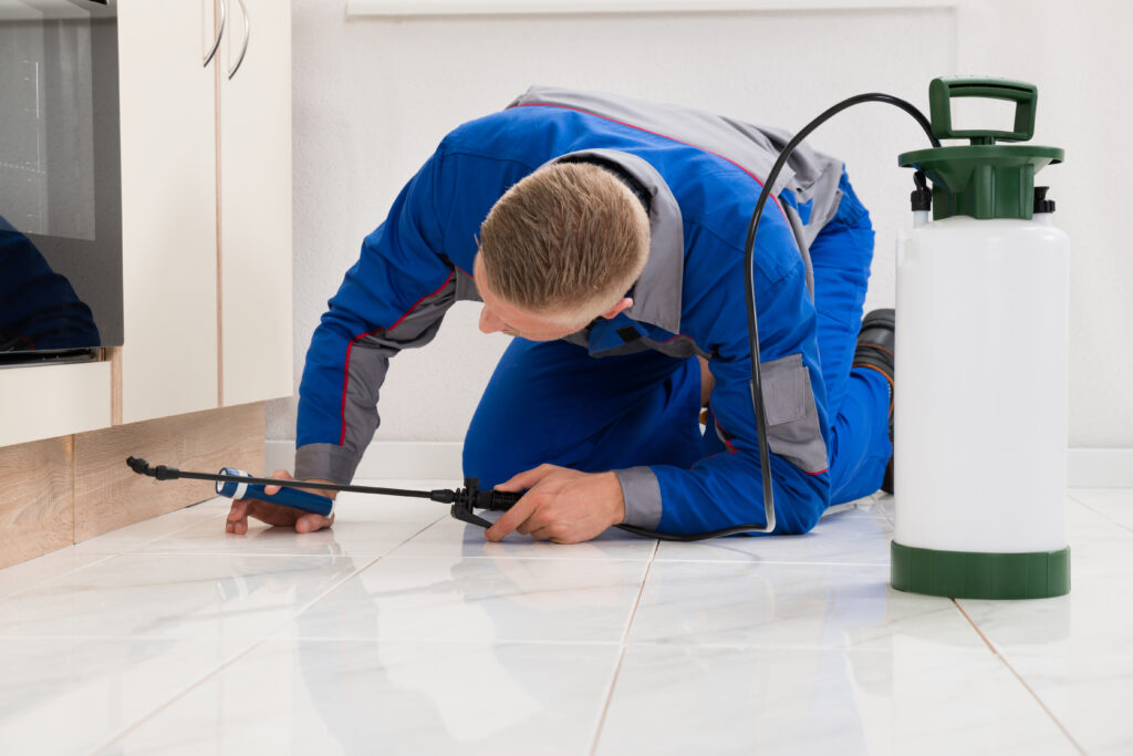 Malibu Ant Control Xperts
