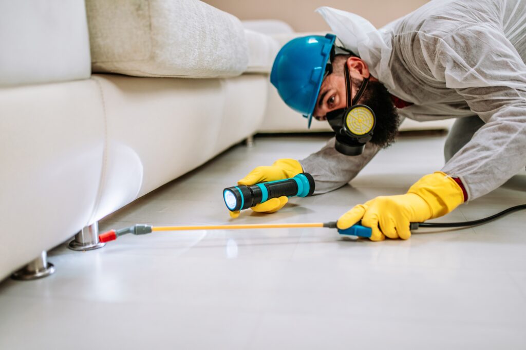 Agoura Hills Termite Control