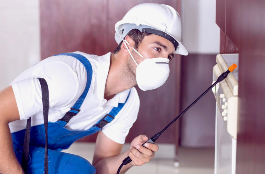 Topanga local pest services