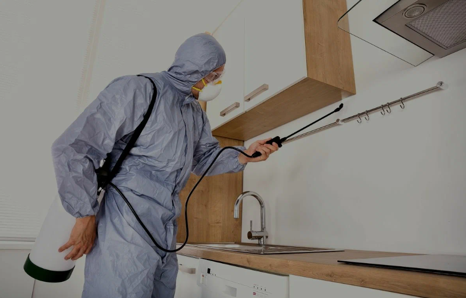 Calabasas pest managment