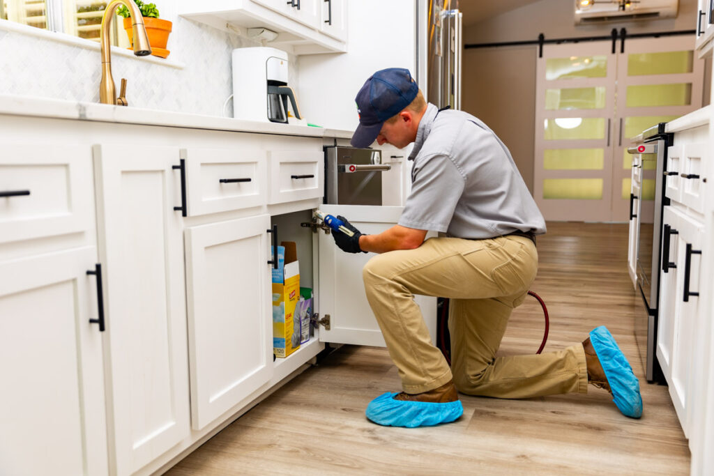 Oak Park xpert pest management